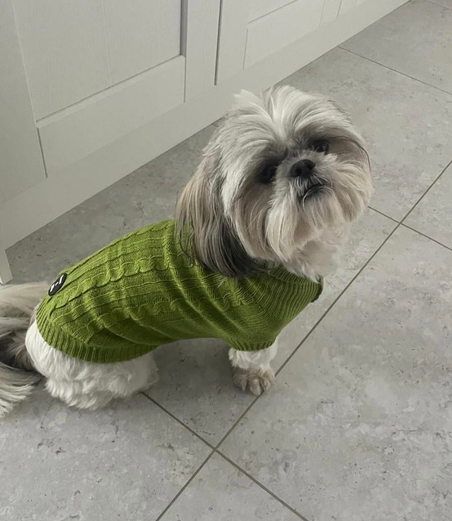 Fine Knit Cable Dog Jumper Green