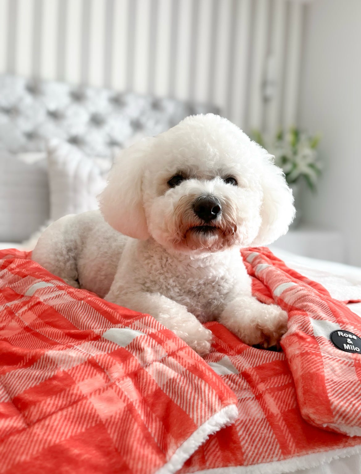 Orange Plaid Huge Snuggle Blanket 130cm x 100cm