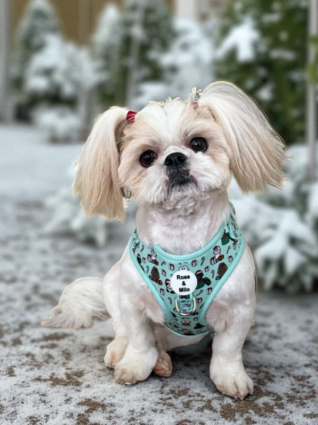 It’s Shihmass Adjustable Dog Harness