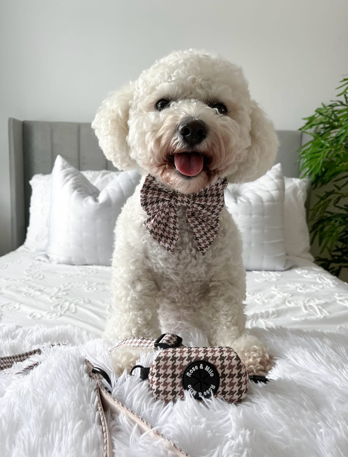 Beige Houndstooth Dog Sailor Bow