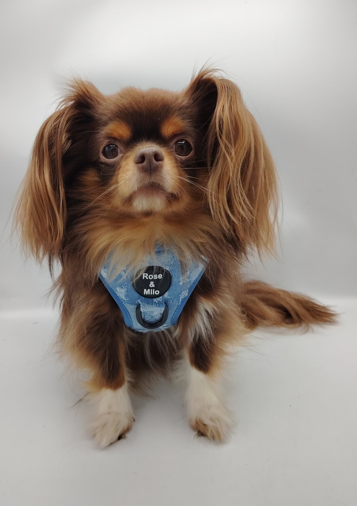 XXS Adjustable Harness Toy Breeds/Puppy £7.00