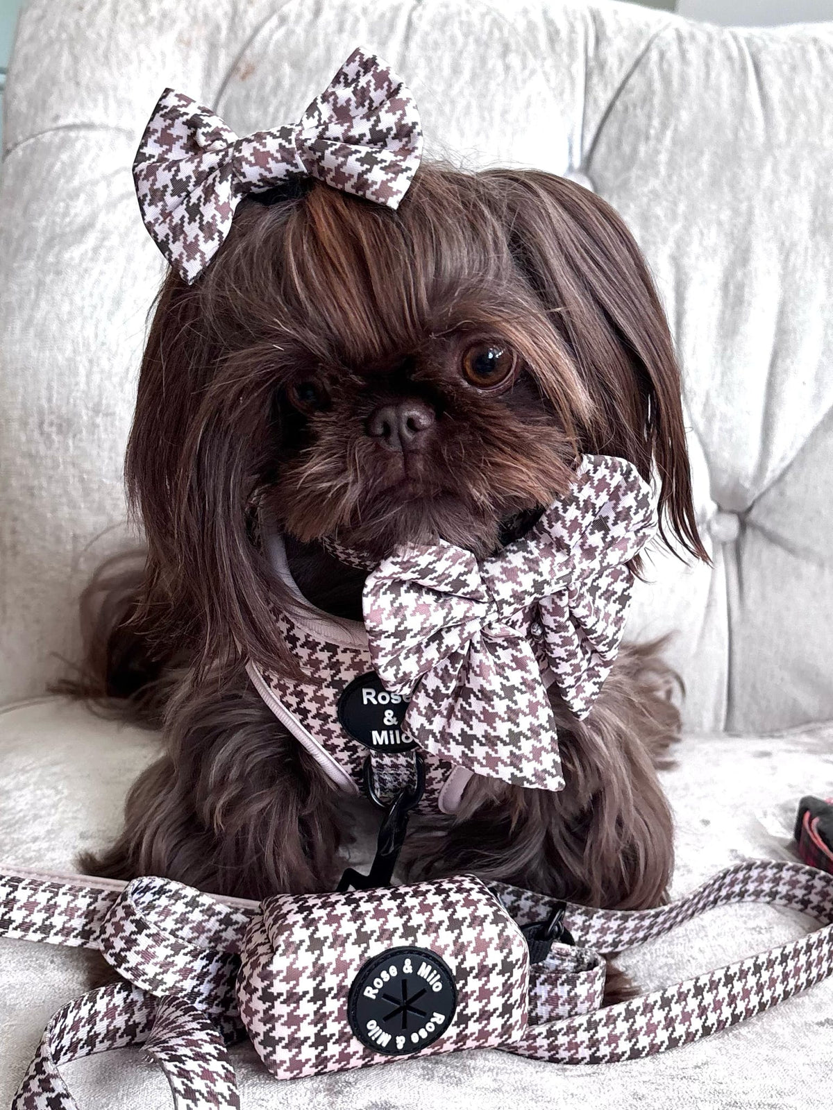 Beige Houndstooth Dog Bow Tie Small & Large
