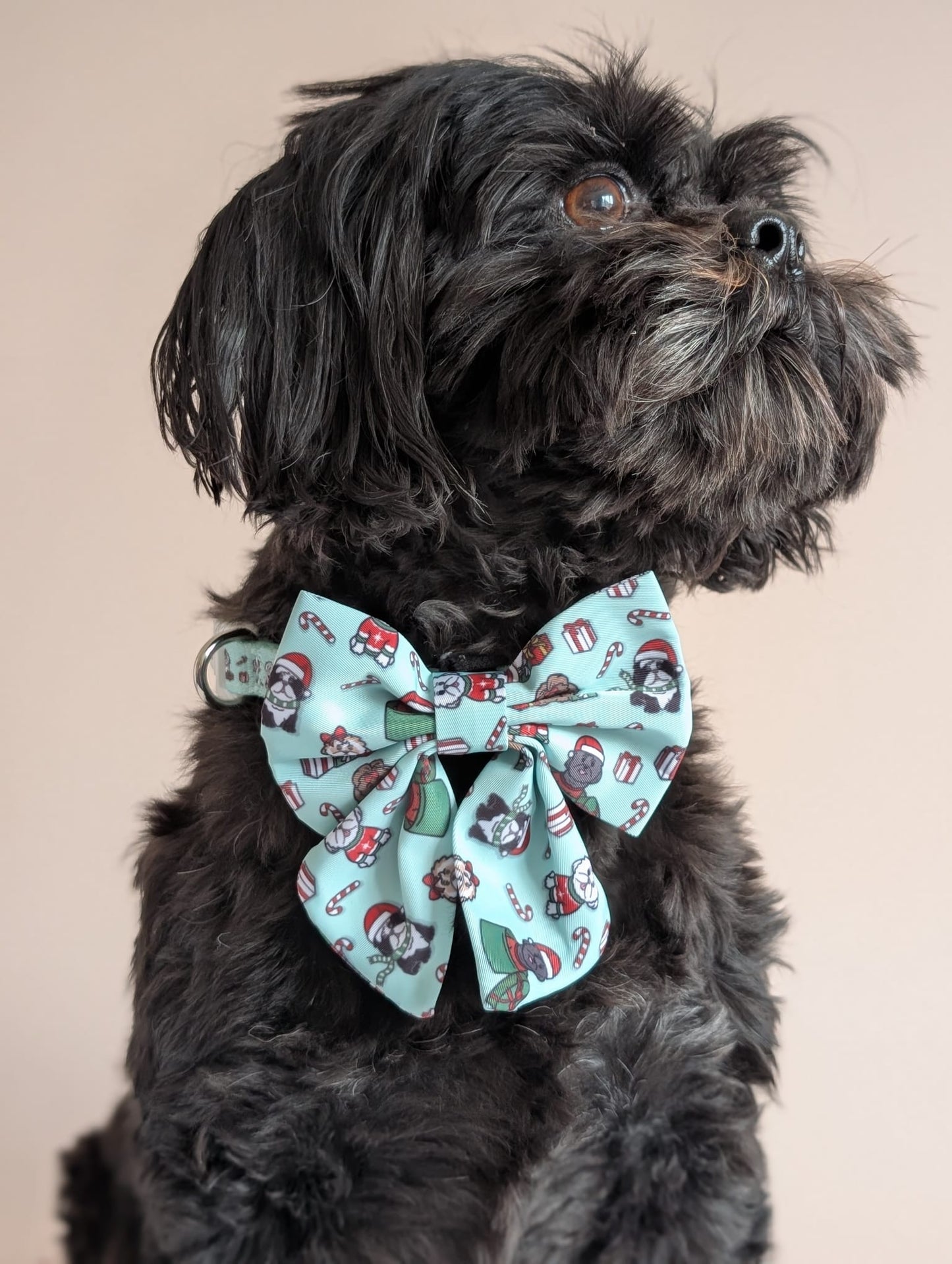 It’s Shihmass Dog Sailor Bow