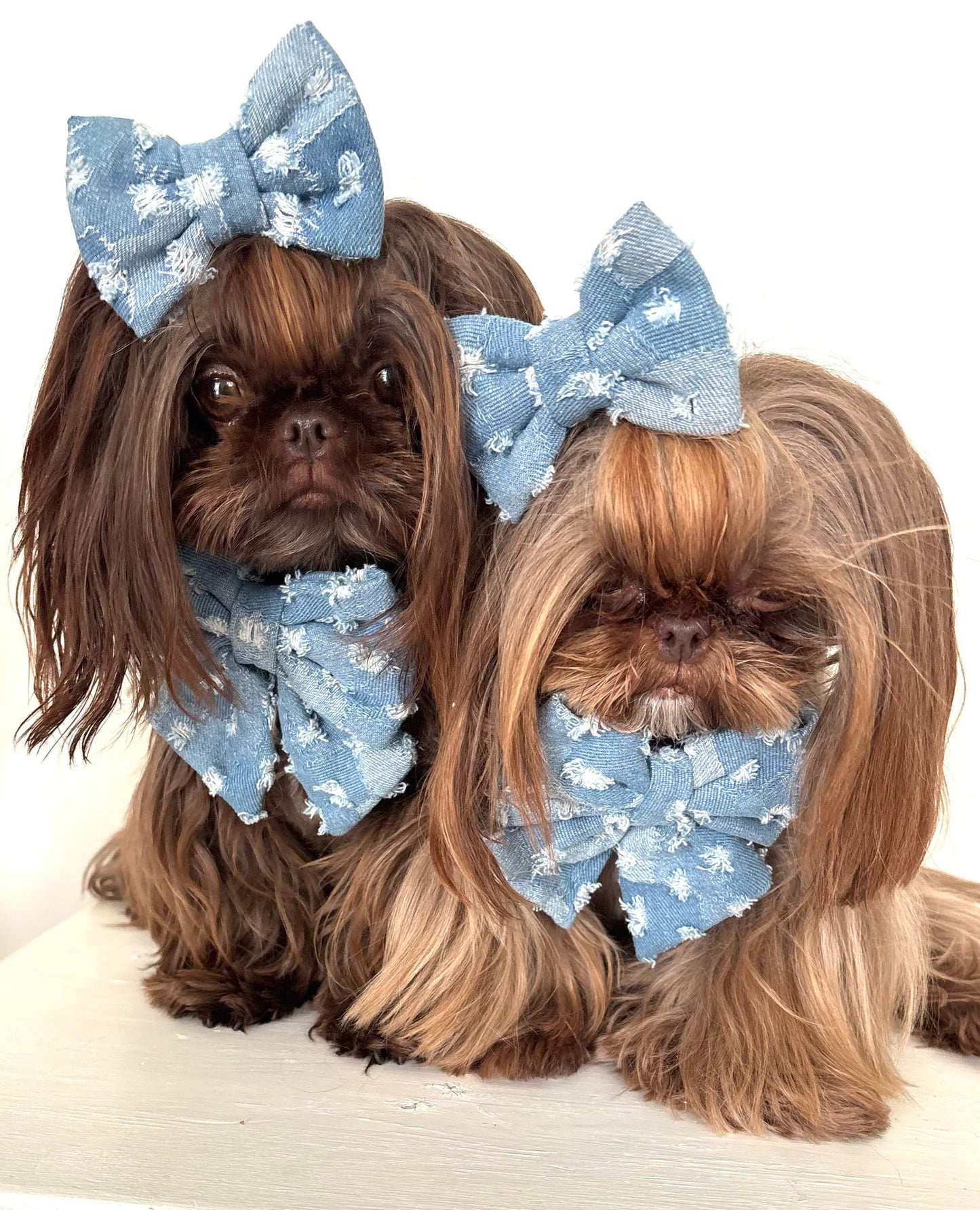Doggy Denim Sailor Bow Tie