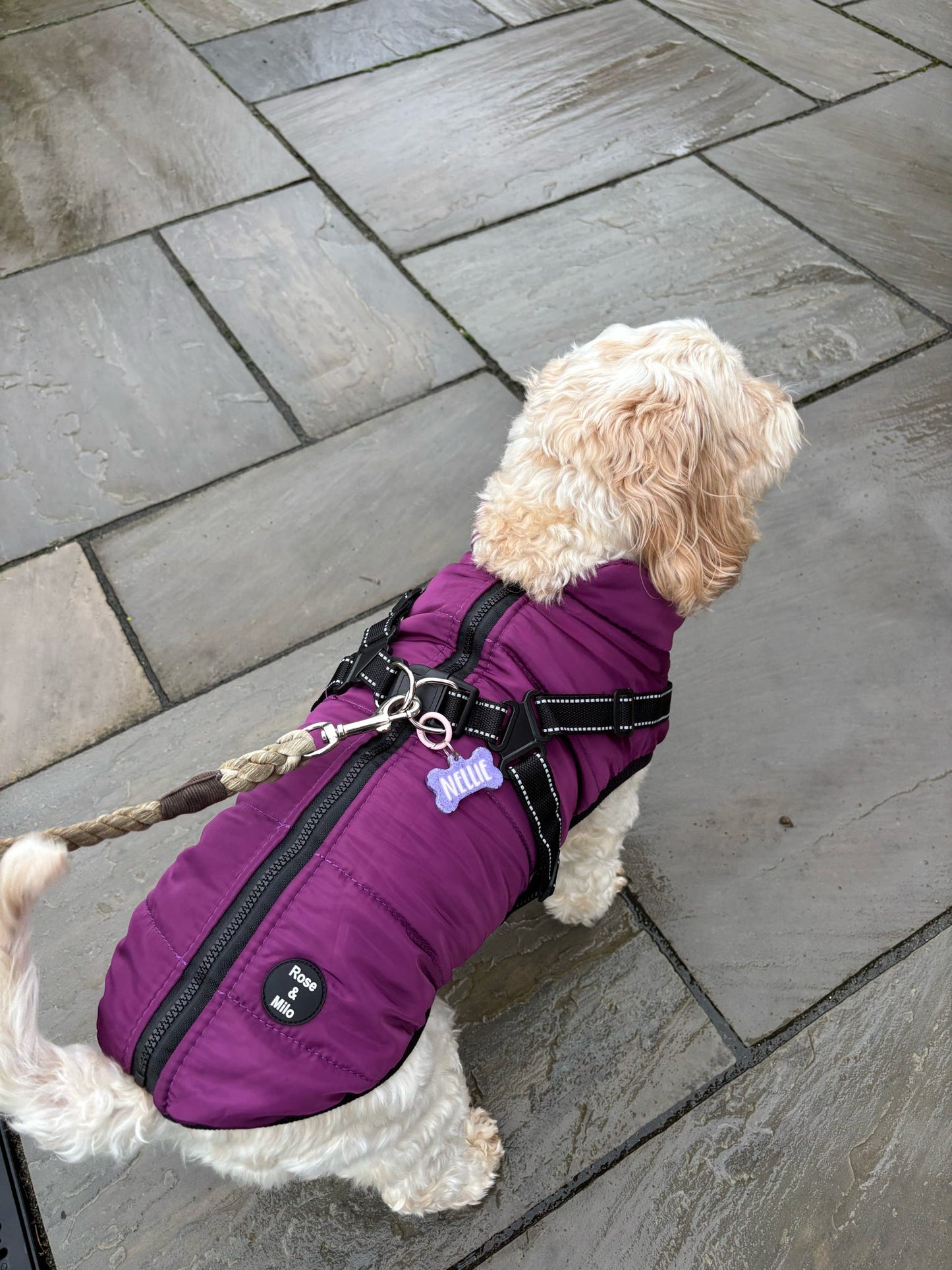 Dog Harness Coats Small-5XL
