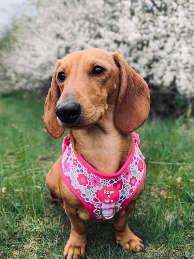 Pink Blooms Adjustable Dog Harness