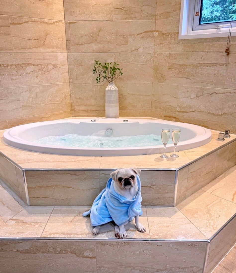 Dog Bath Robe Blue, Pink & White & Yellow