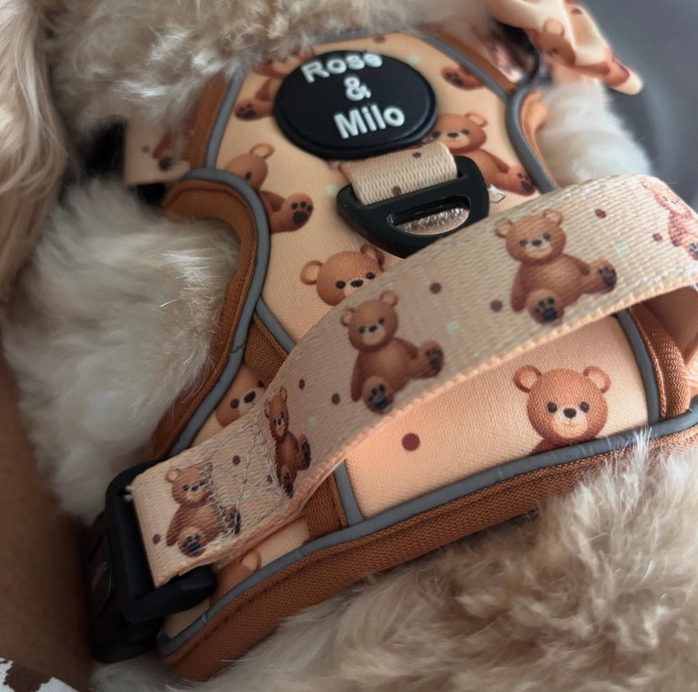 Teddy Bear Walk & Go Harness
