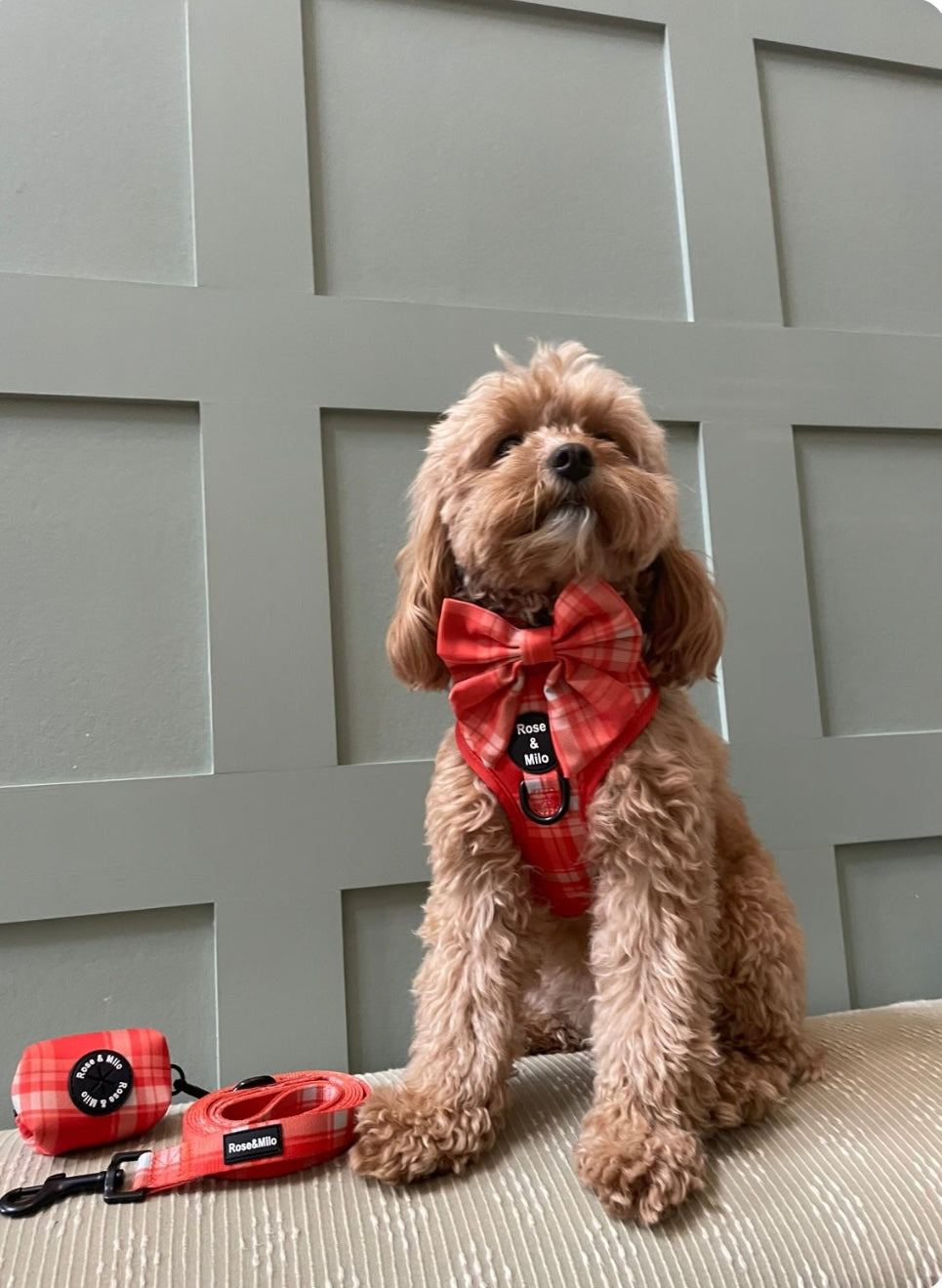Orange Plaid Adjustable Dog Harness
