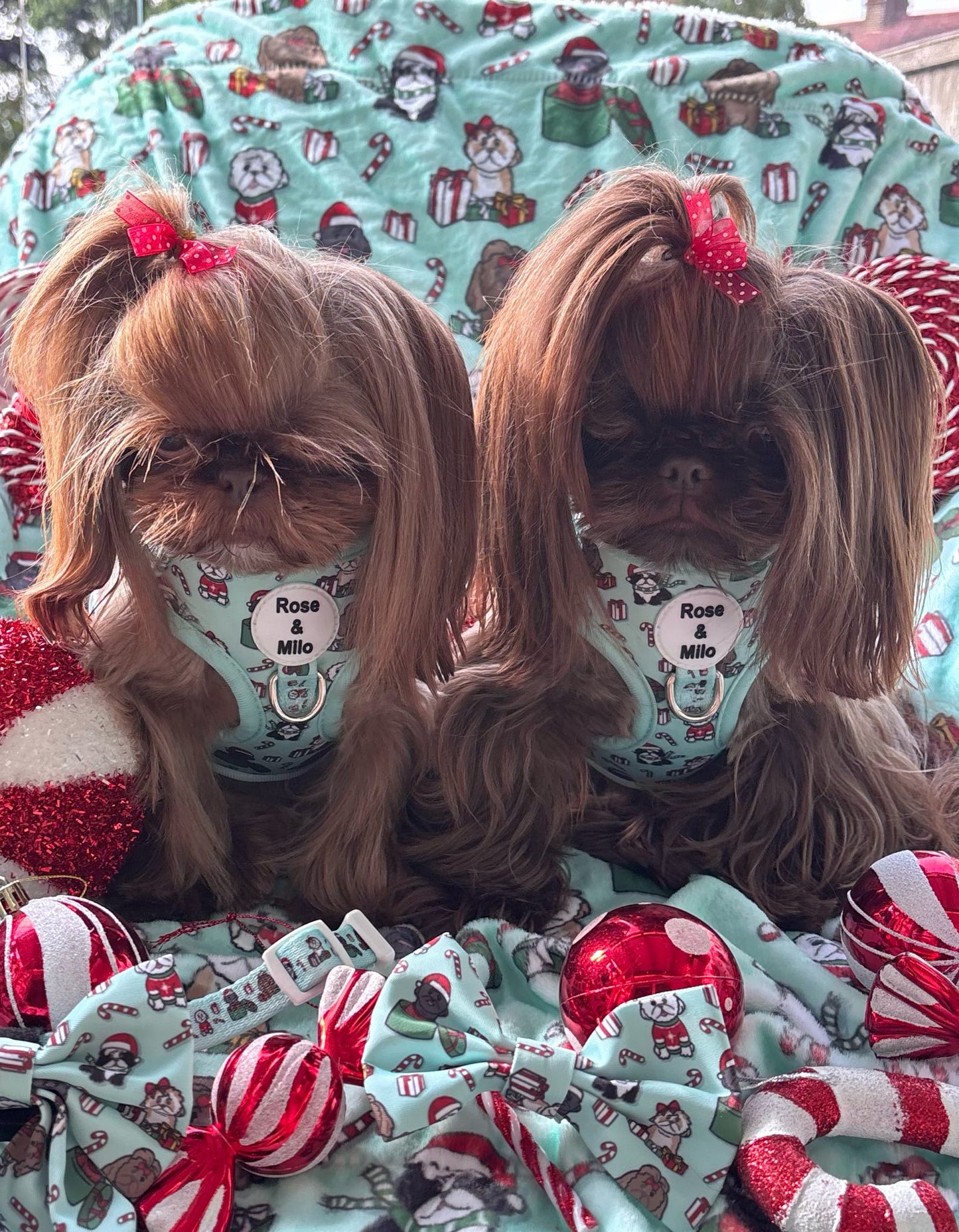 It’s Shihmass Adjustable Dog Harness