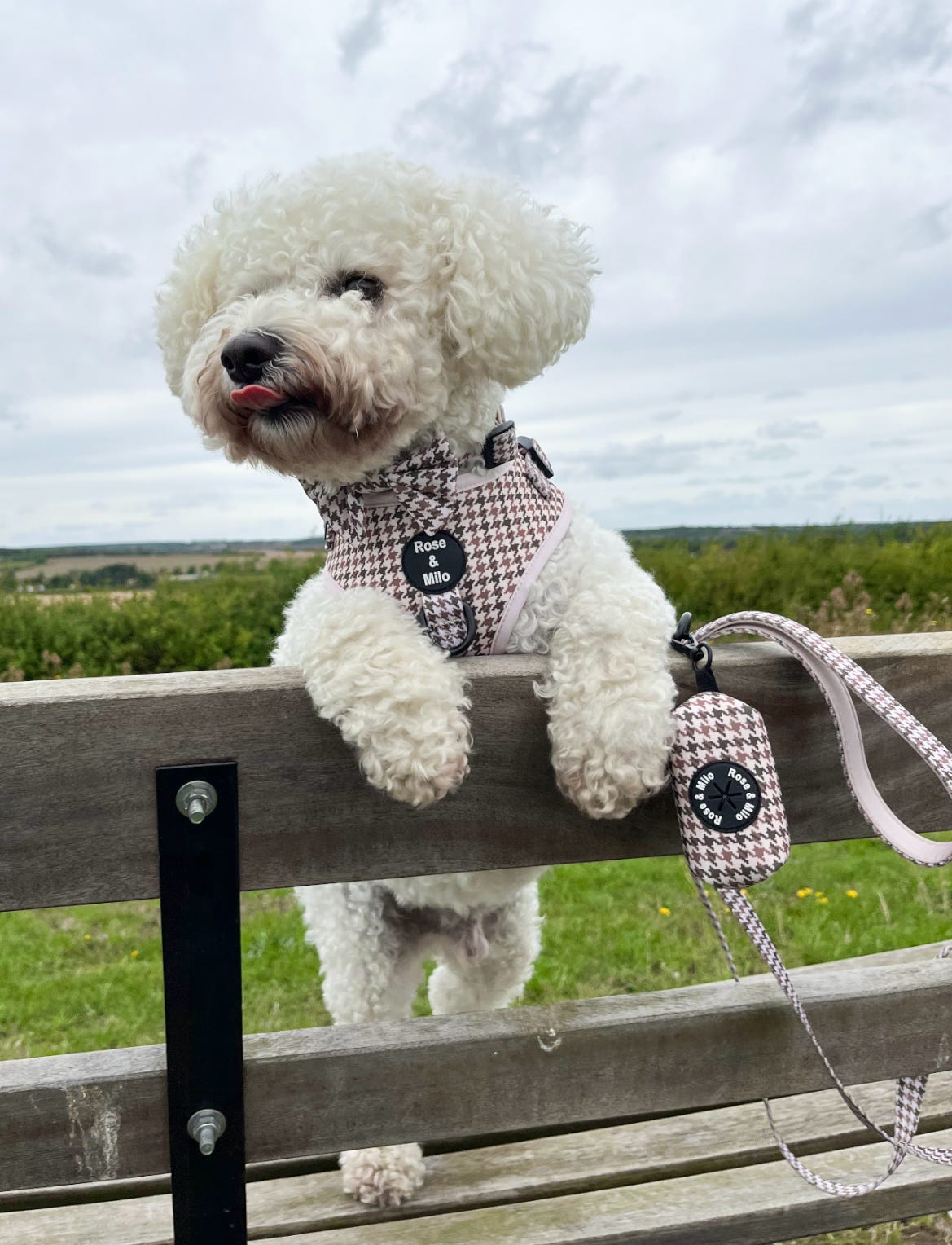 Beige Houndstooth Dog Lead 5ft