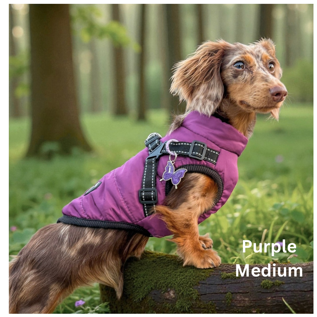 Dog Harness Coats Small-5XL