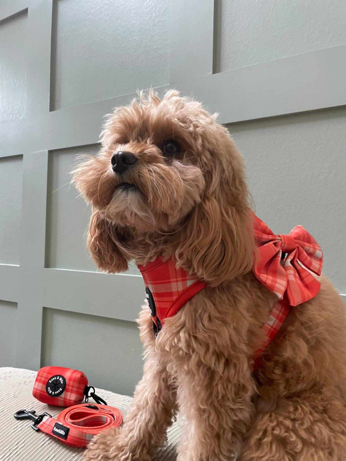 Orange Plaid Sailor Bow