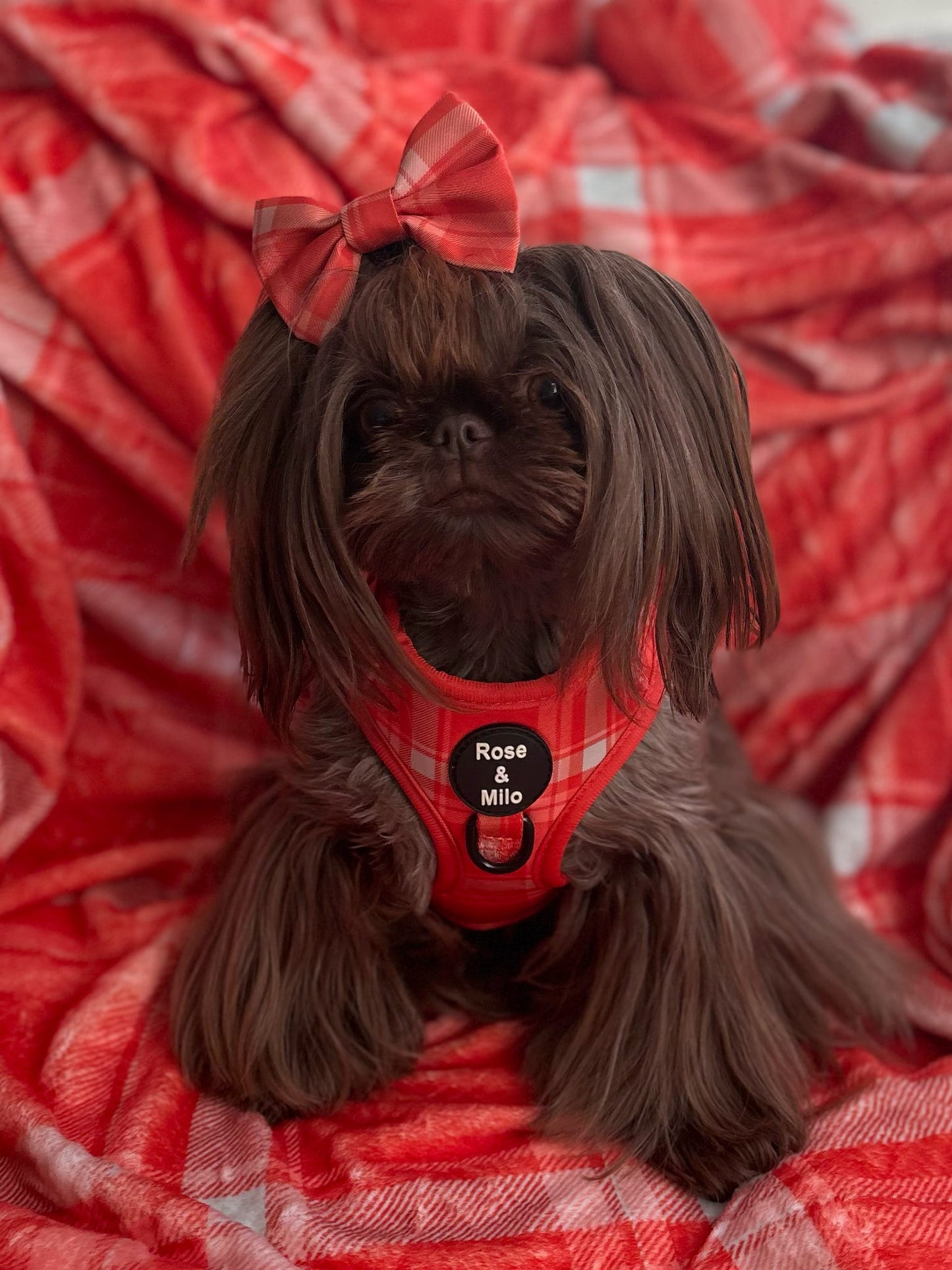 XXS Adjustable Harness Toy Breeds/Puppy £7.00