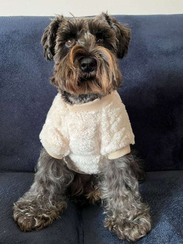 Soft Cream Dog Jumper