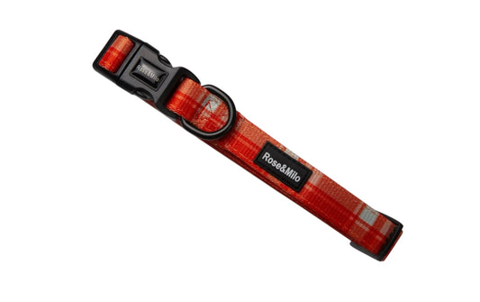 Orange Plaid Adjustable Dog Collar XS-Large