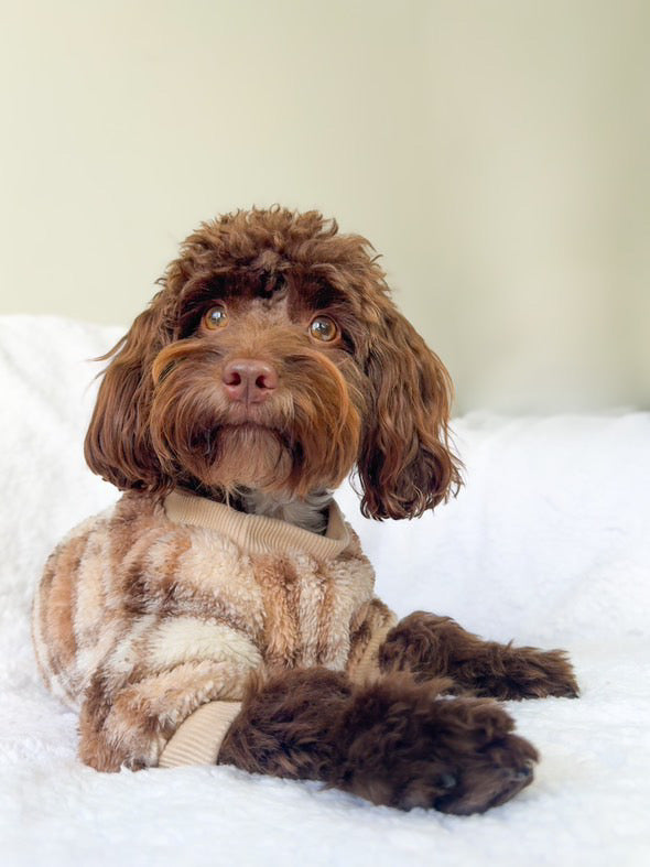 Brown Checked Dog Jumper