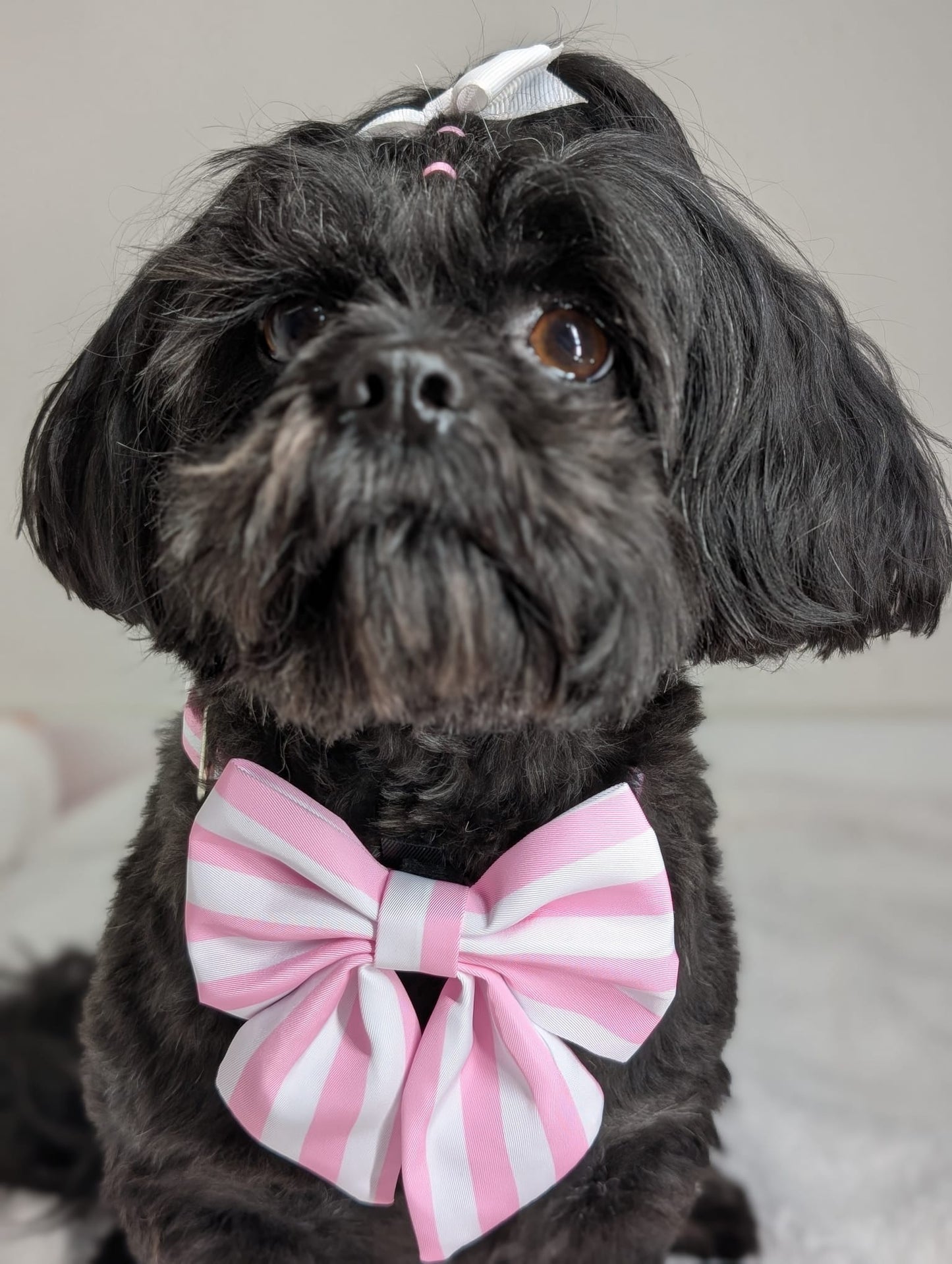 Pink Stripe Dog Sailor Bow