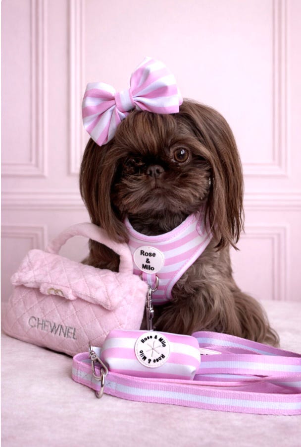 Pink Stripe Adjustable Dog Harness