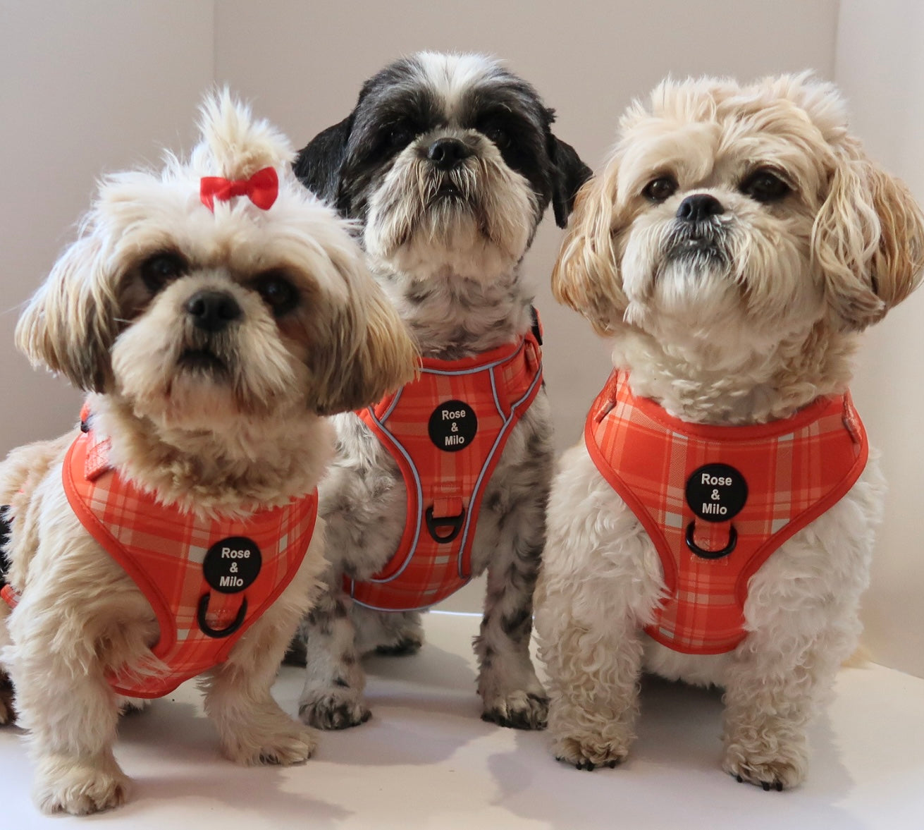 Orange Plaid Adjustable Dog Harness