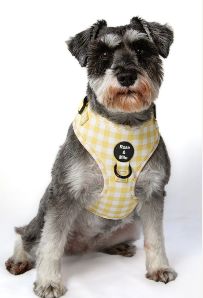 Lemon Check Adjustable Harness