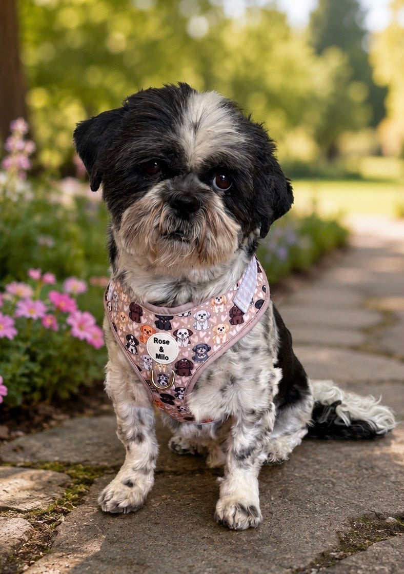 Harness Adjustable I Shih Tzu Not NEW