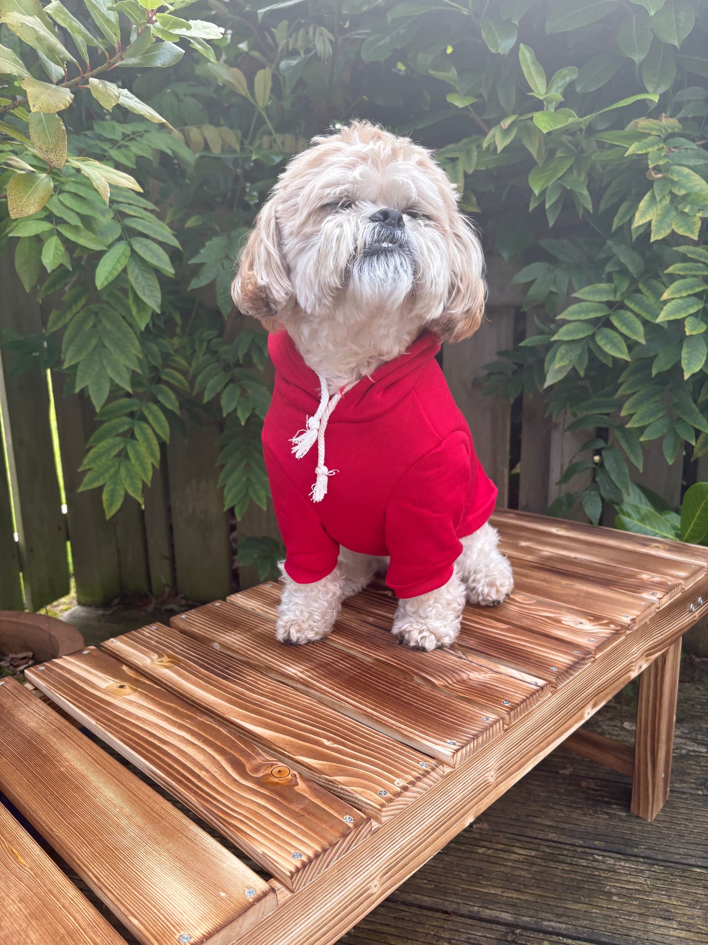 Cute Dog Hoodies Red
