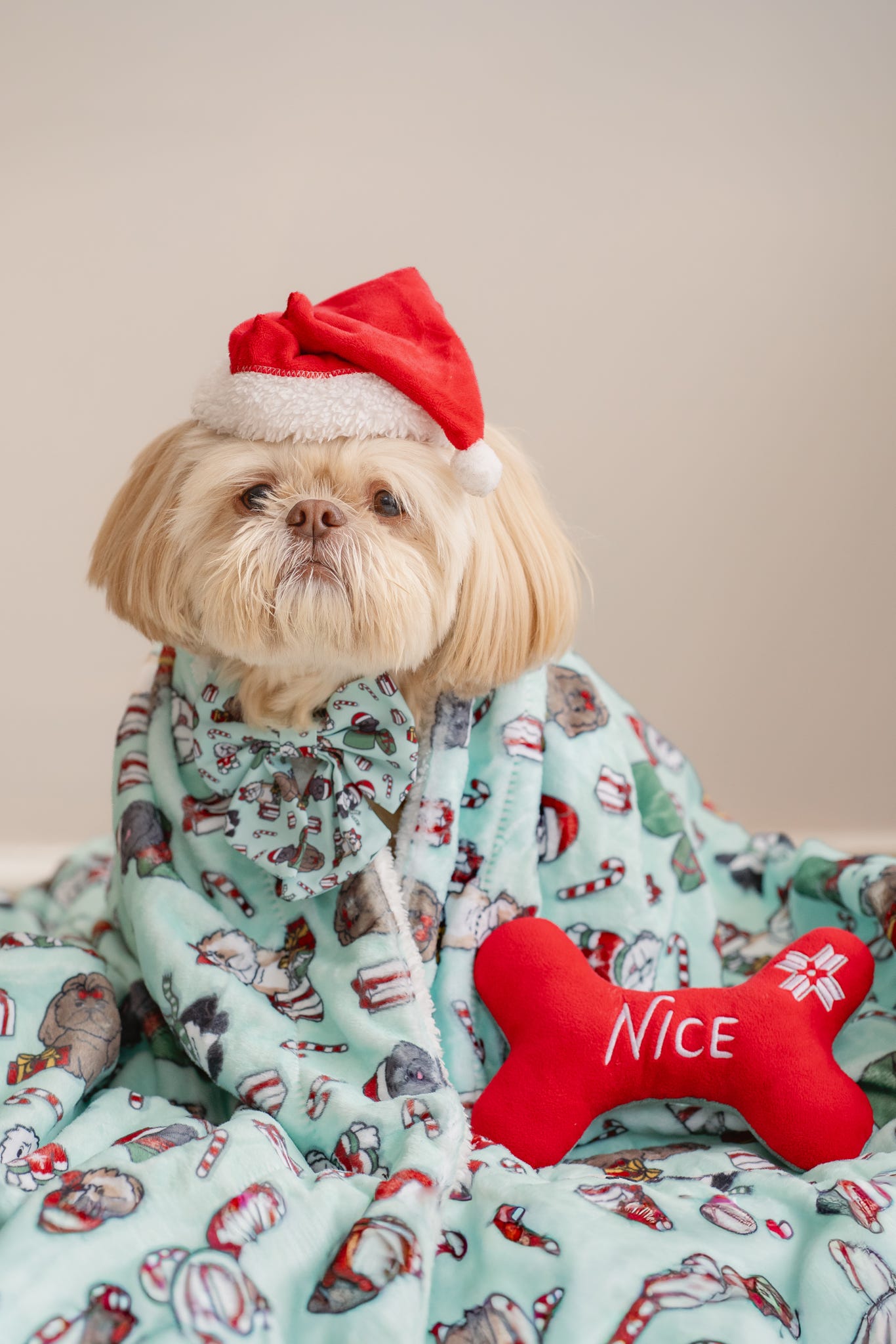 It’s Shihmass Huge Snuggle Dog Blanket