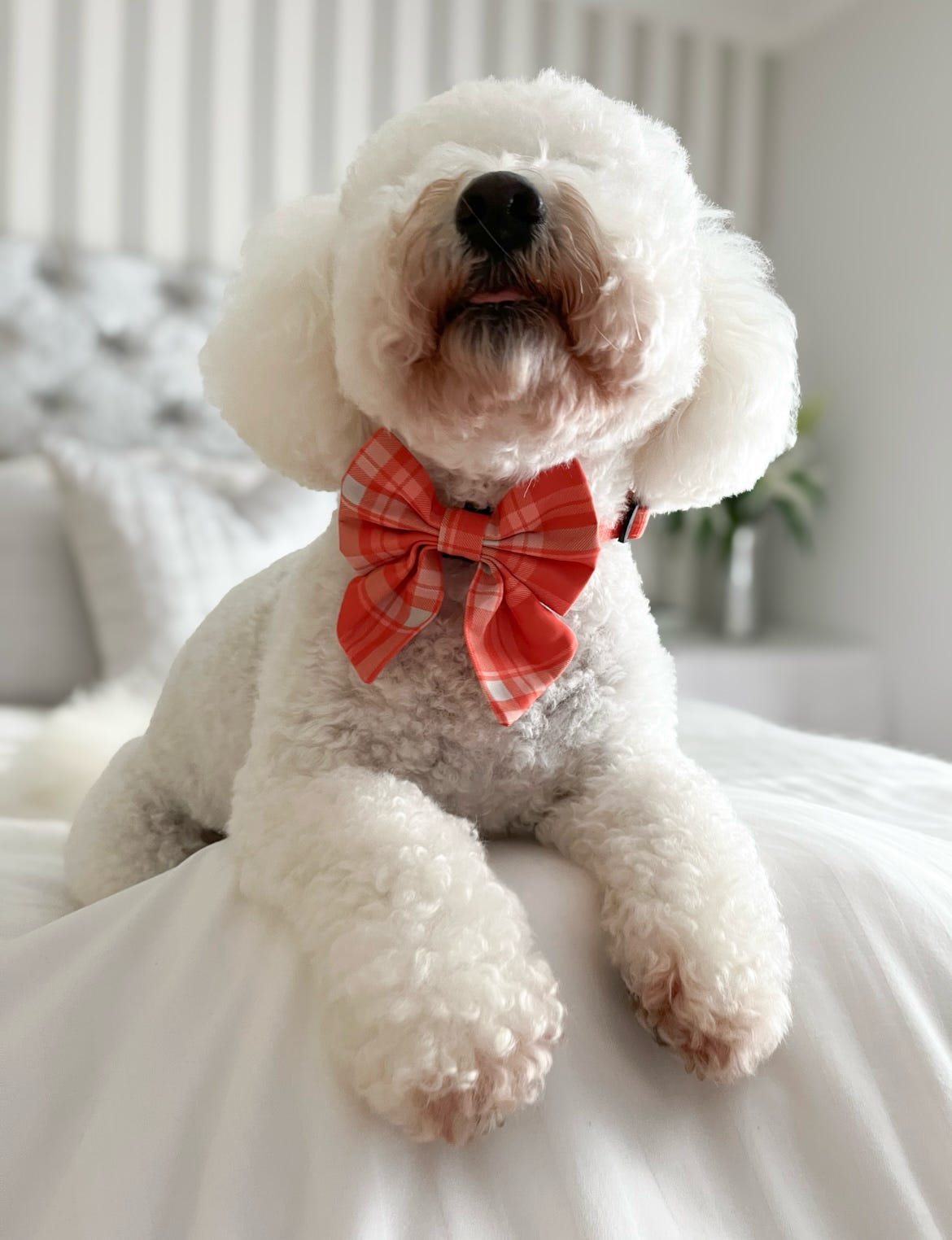 Orange Plaid Sailor Bow
