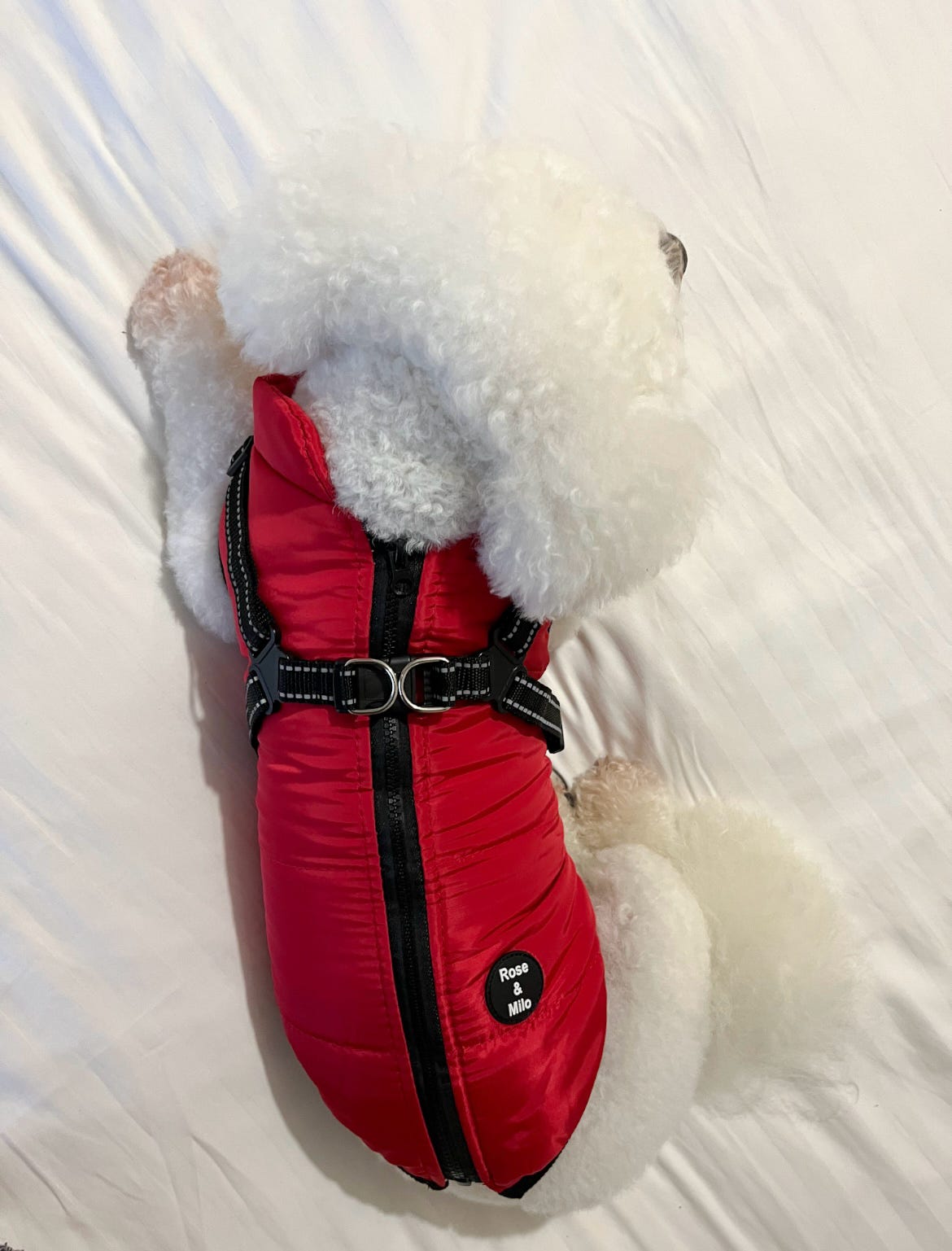 Dog Harness Coats Small-5XL