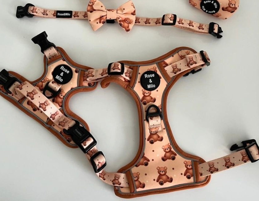 Teddy Bear Walk & Go Harness