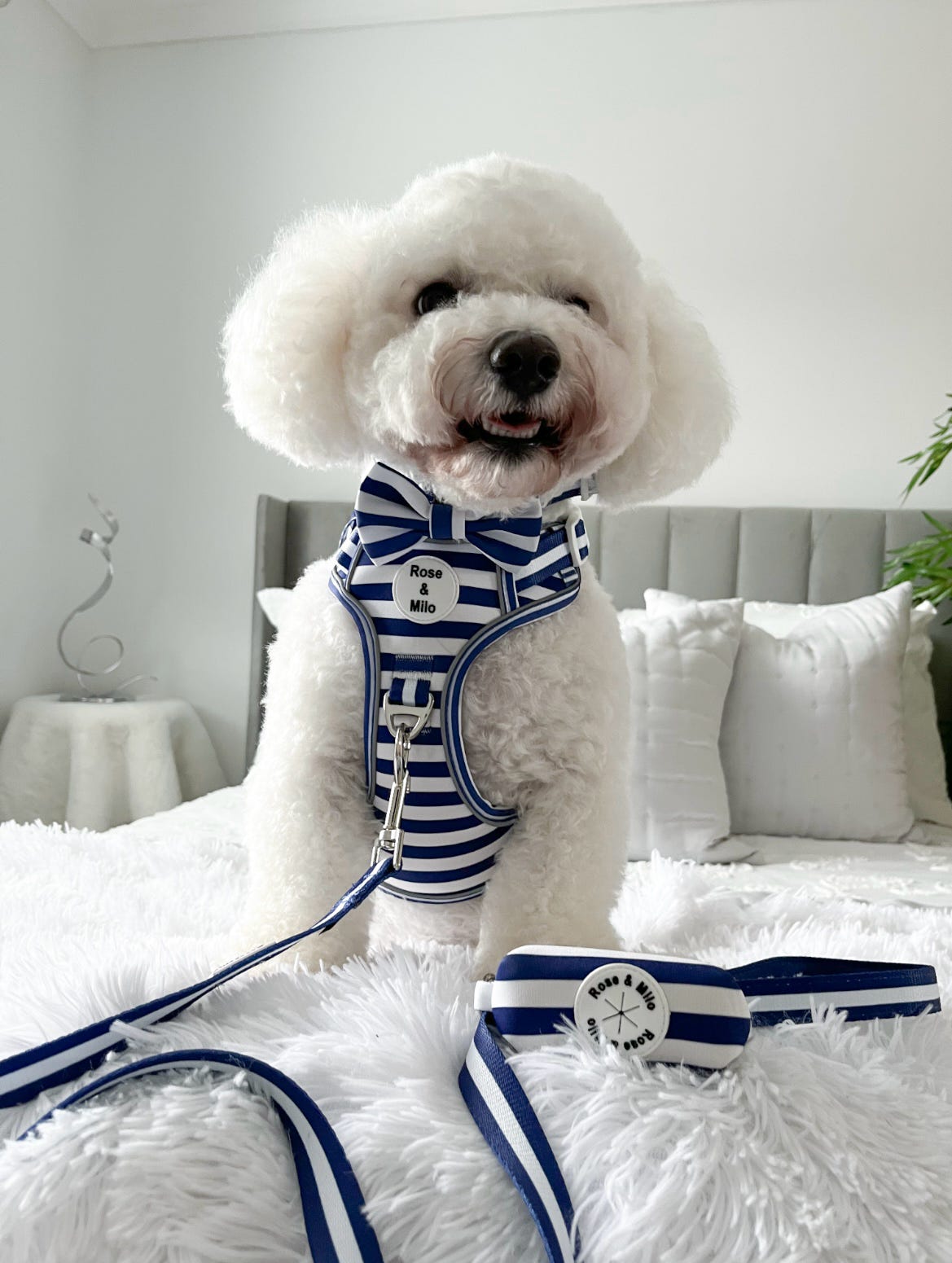 Blue Stripe Step-In Walk & Go Dog Harness