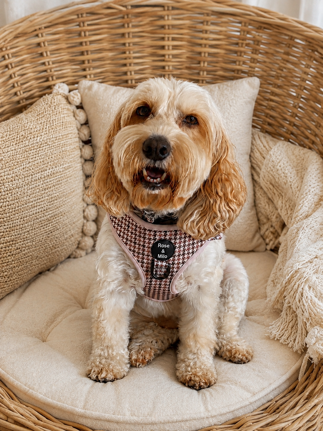 Beige Houndstooth Adjustable Dog Harness
