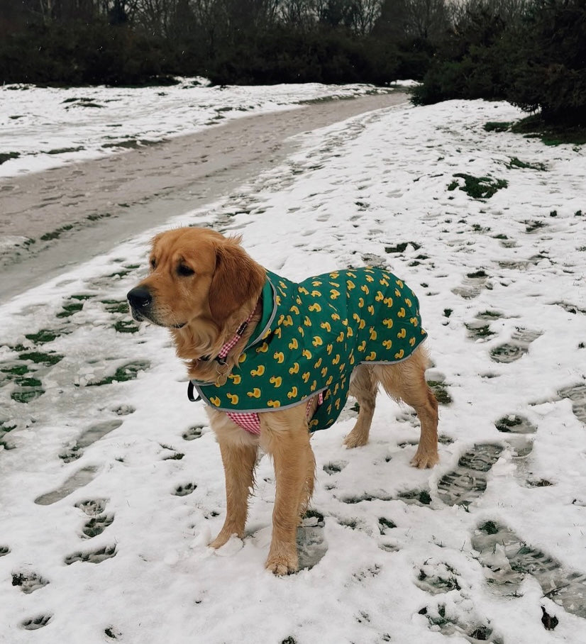 Cute Duck Dog Coat