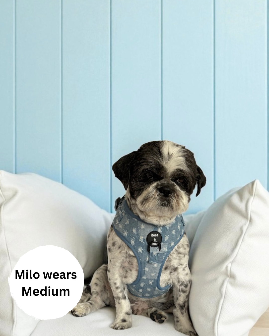 Doggy Denim Adjustable Dog Harness
