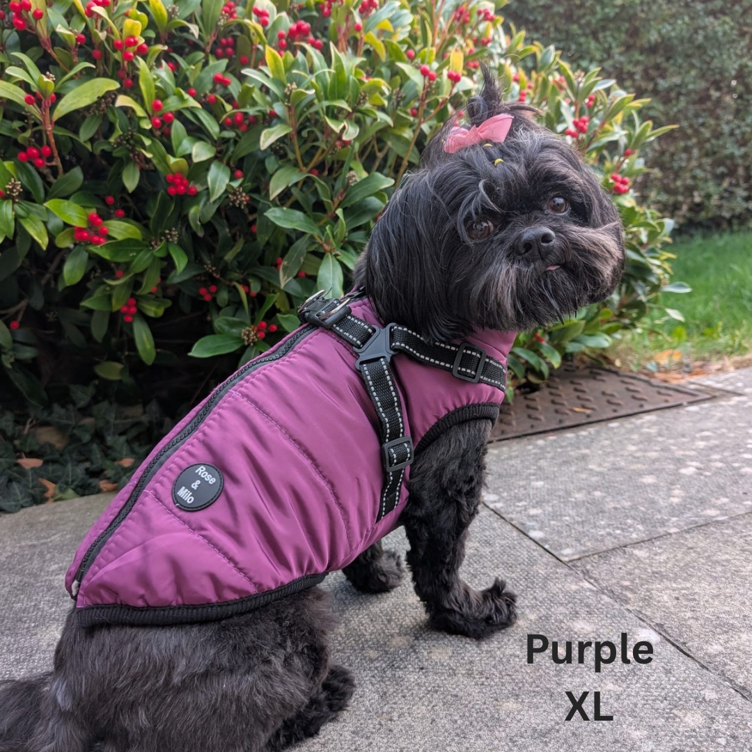 Dog Harness Coats Small-5XL