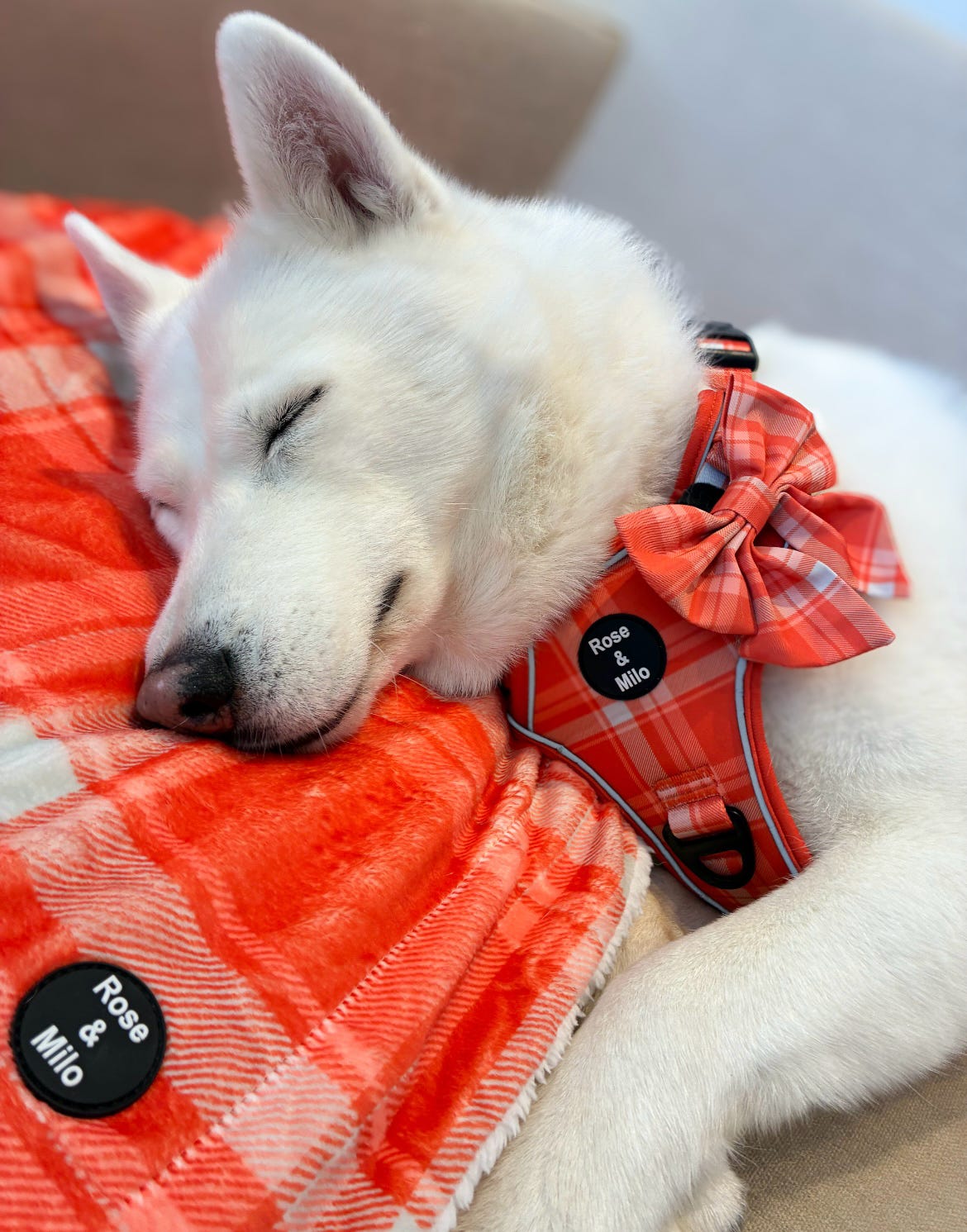 Orange Plaid Huge Snuggle Blanket 130cm x 100cm