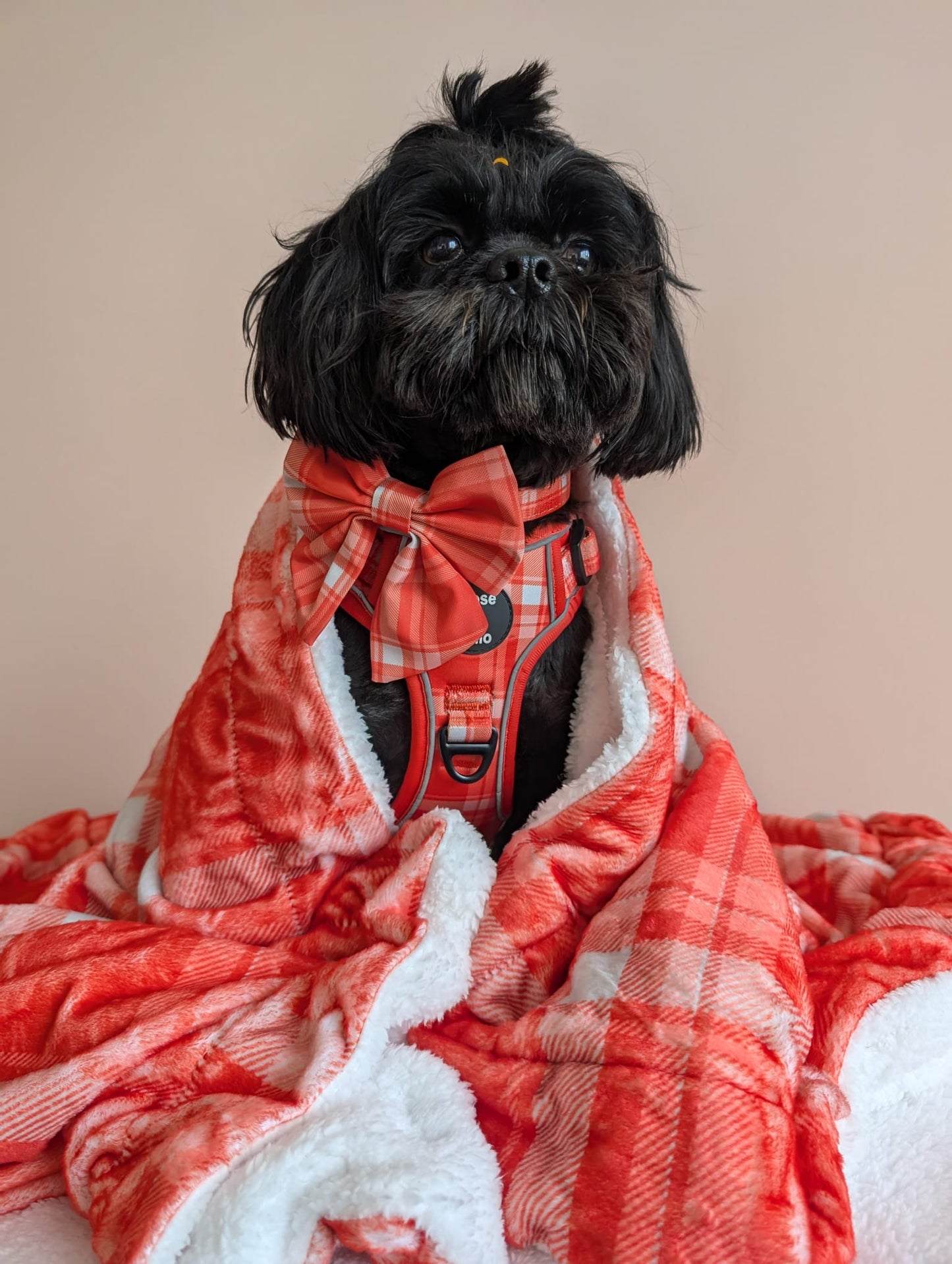 Orange Plaid Huge Snuggle Blanket 130cm x 100cm