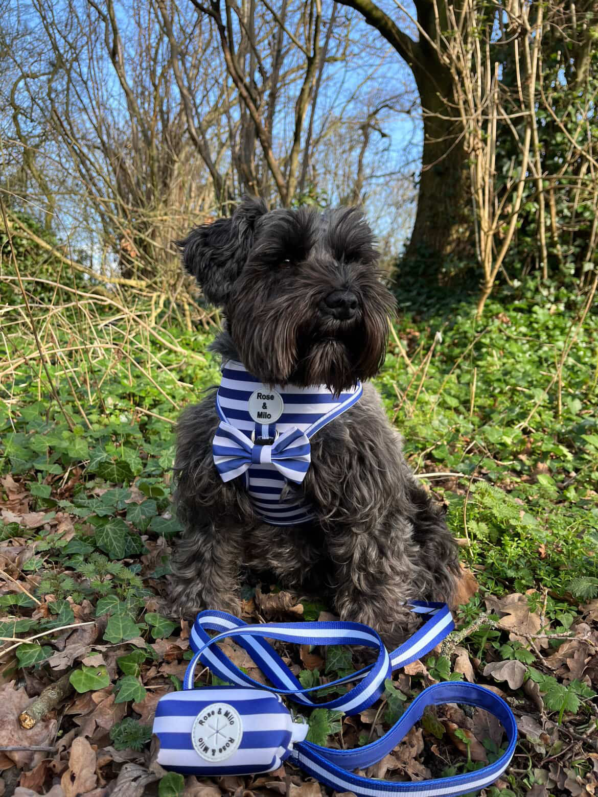 Blue Stripe Dog Lead 5ft