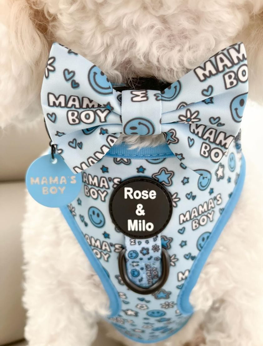 I’m a Mama’s Boy Bow Tie