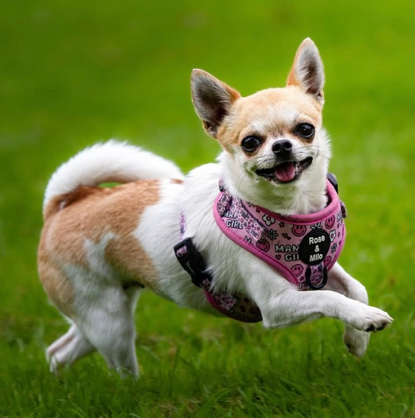 I’m a Mama’s Girl Adjustable Harness