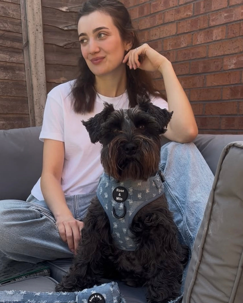 Doggy Denim Adjustable Dog Harness