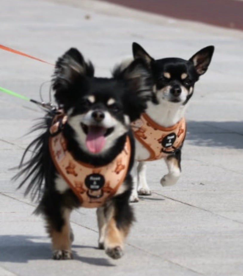 Teddy Bear Adjustable Harness