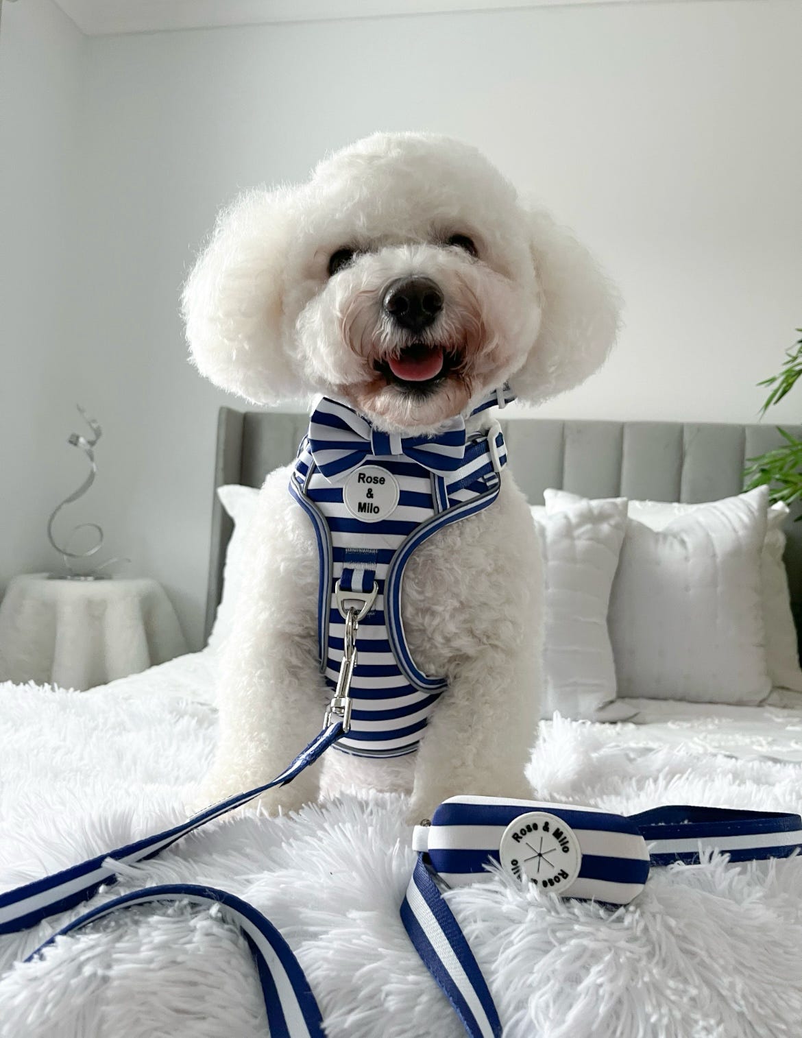 Blue Stripe Dog Lead 5ft