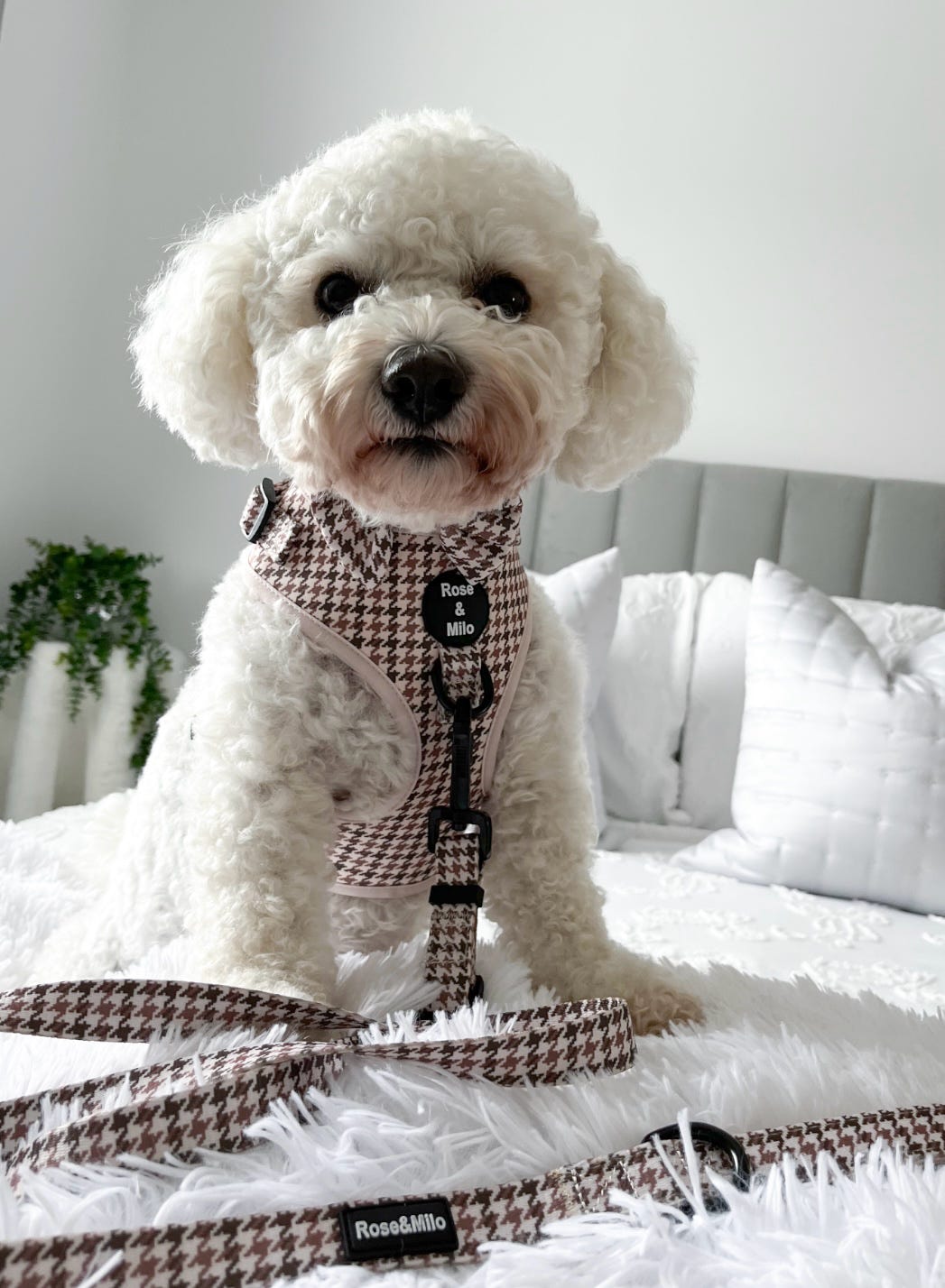 Beige Houndstooth Adjustable Lead 3ft-5ft