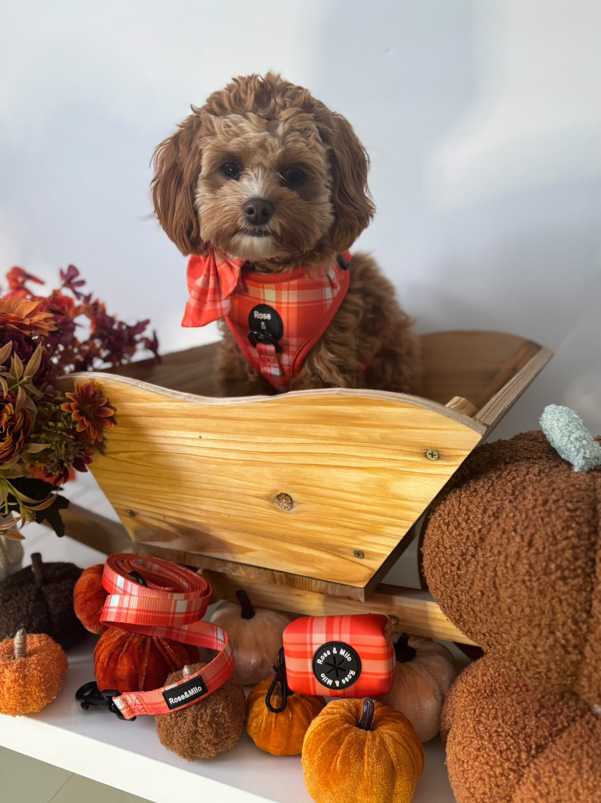 Orange Plaid Adjustable Dog Harness