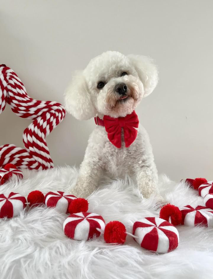 Christmas Velvet Sailor Bow Tie