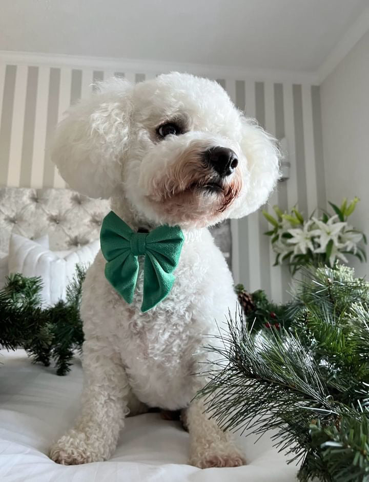 Christmas Velvet Sailor Bow Tie