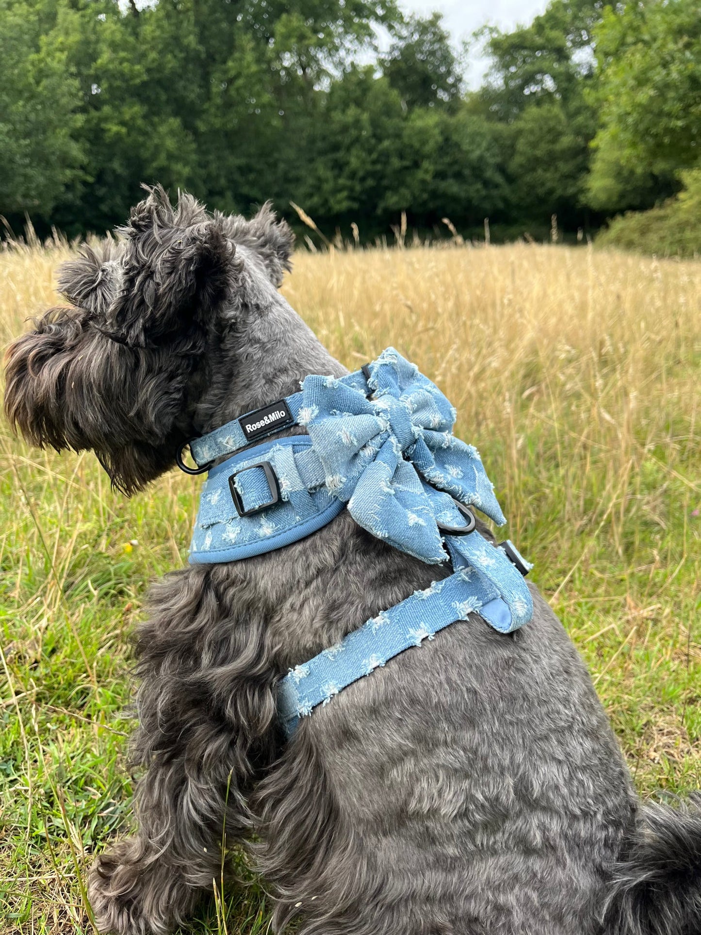 Doggy Denim Sailor Bow Tie