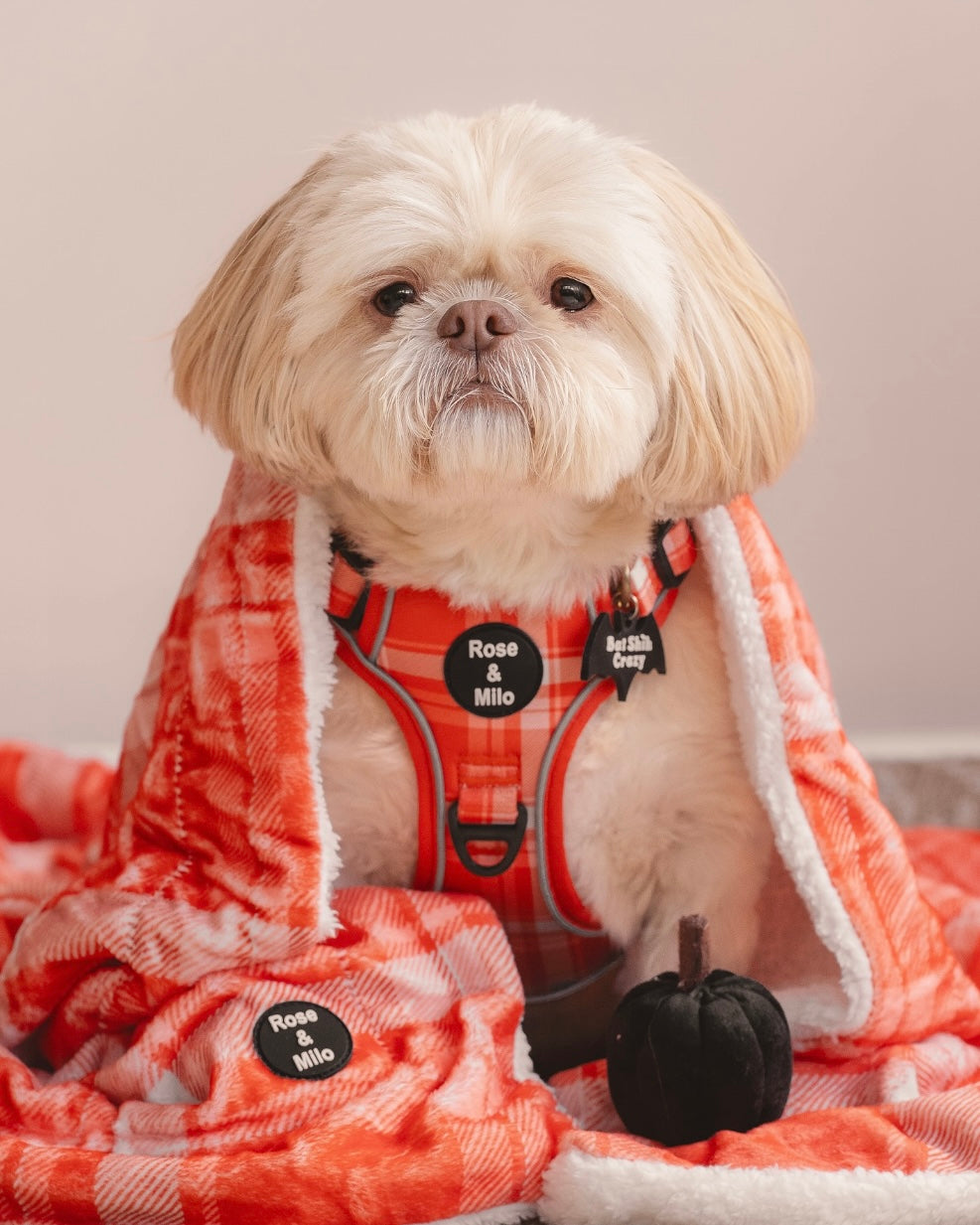 Orange Plaid Walk & Go Adjustable Dog Harness